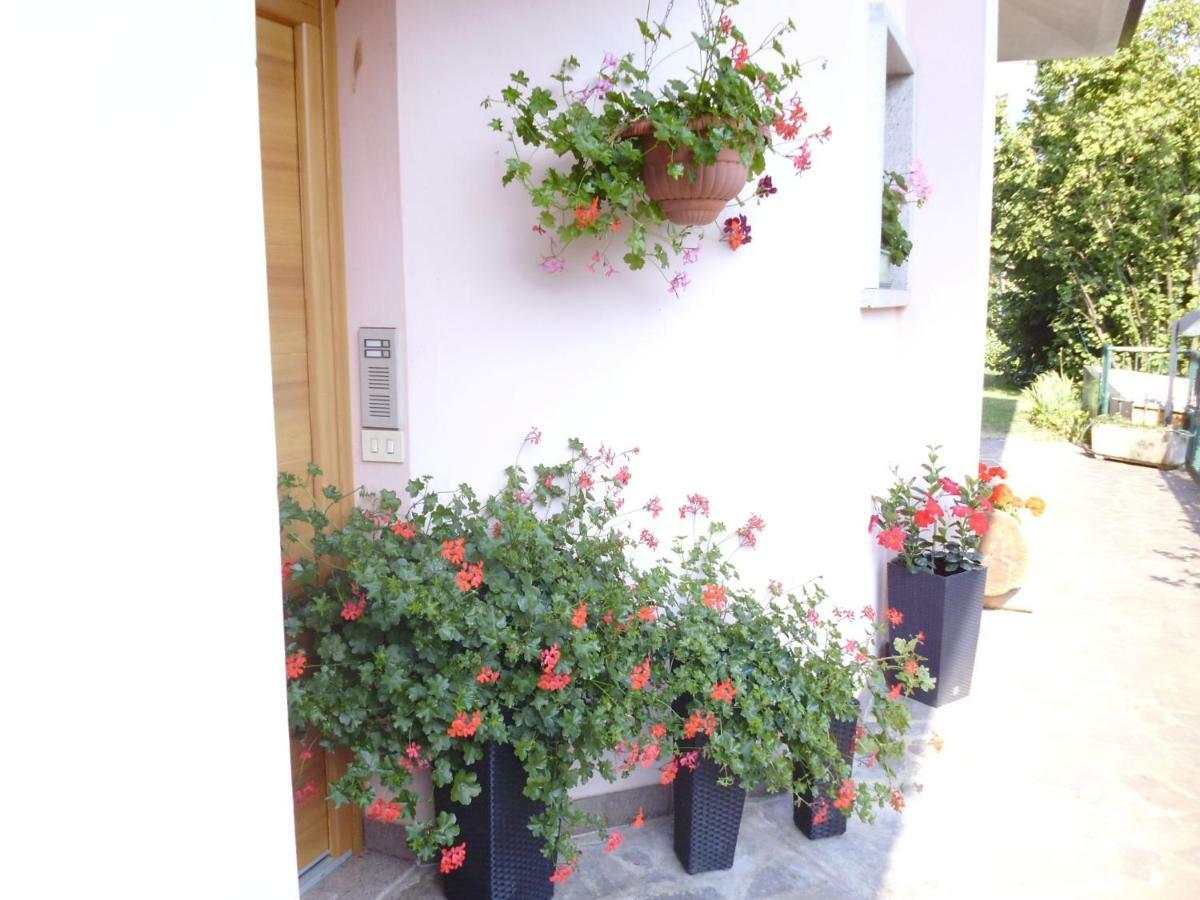 El Campizol Apartment Drena ภายนอก รูปภาพ